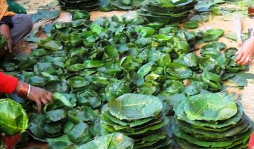  घोडाघोडीका होटलमा दुना टपरीको प्रयोग अनिर्वाय