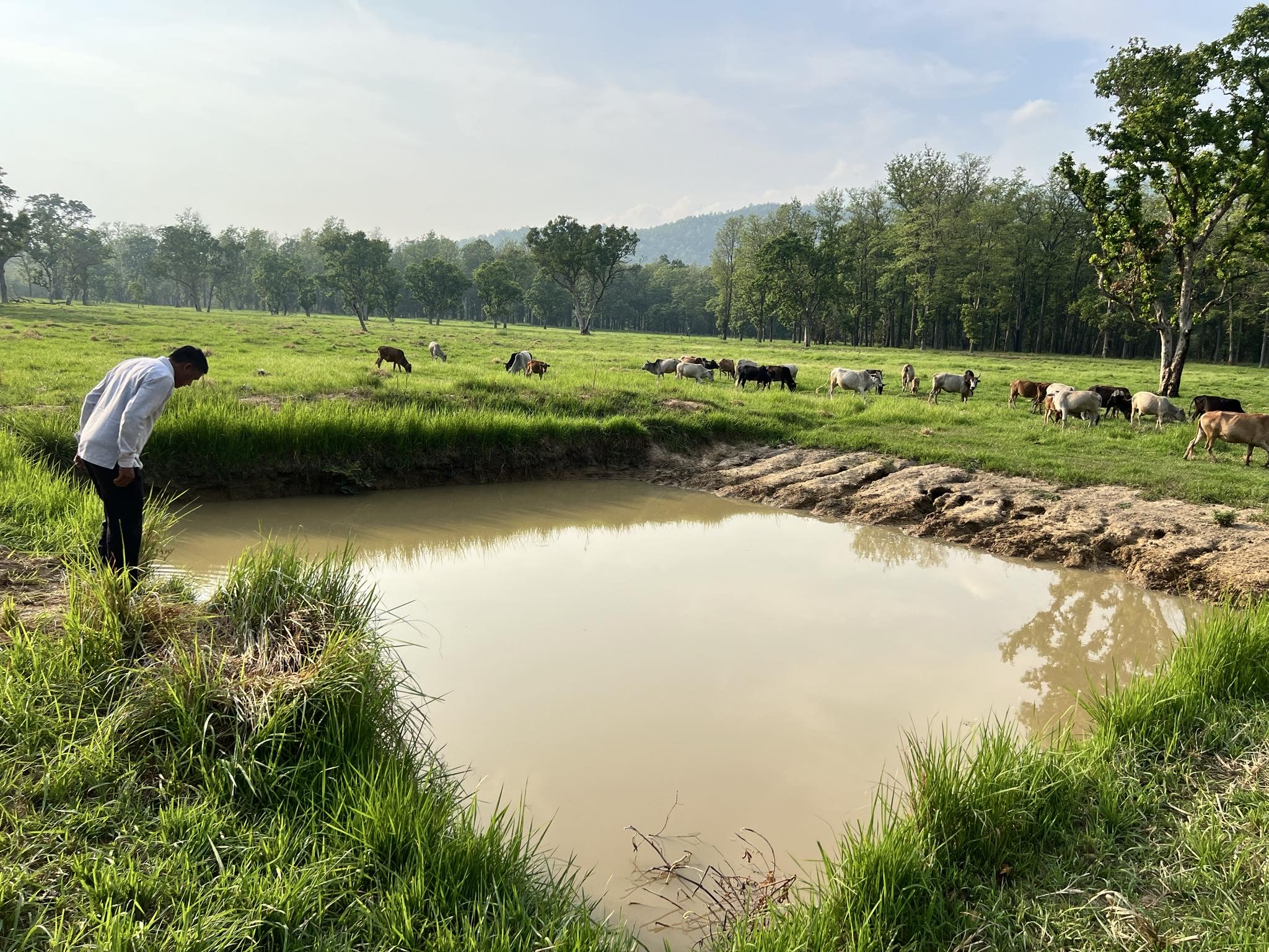 वन्यजन्तुलाई पानी खानका लागि पोखरी निर्माण