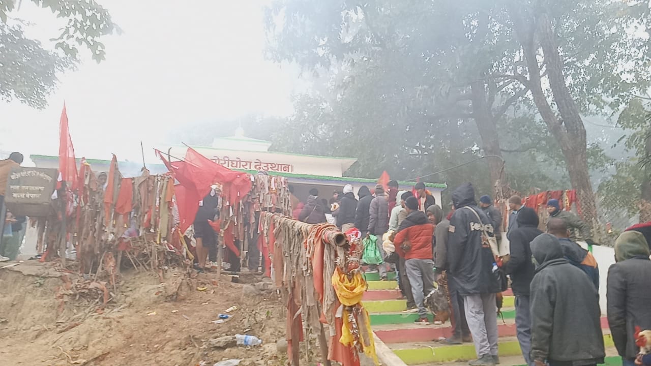 कैलालीका थारू समुदाय लवाङ्गी पूजामा रमाउँदै