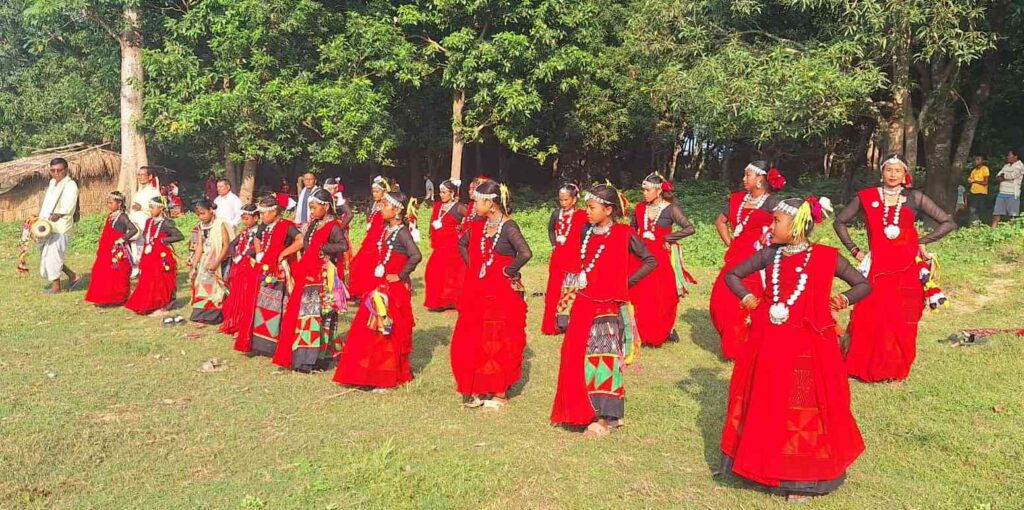 “दशैंमा थारु बस्ती सखिया नाचमय, हर्षोल्लासले गुल्जार”