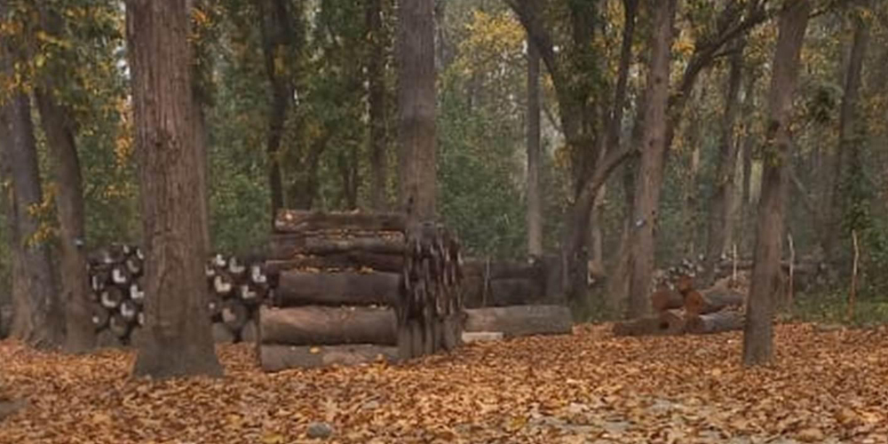 वन डढेलोको जोखिम बढ्दा पनि पूर्वतयारी कमजोर